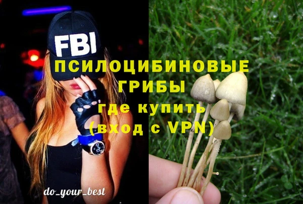гидра Абинск