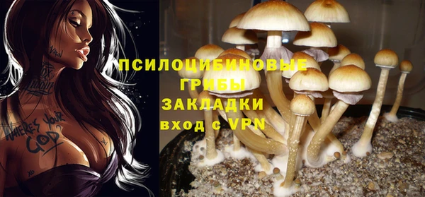 гидра Абинск