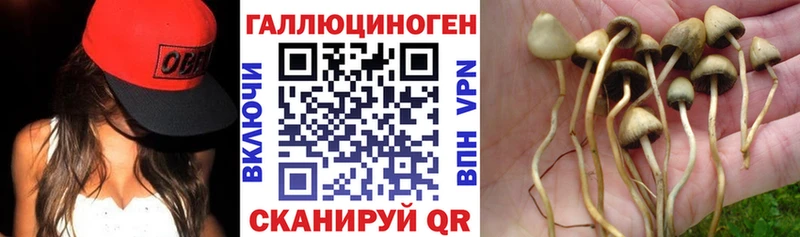 Галлюциногенные грибы GOLDEN TEACHER  Остров 